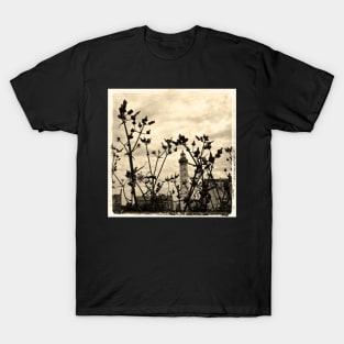 Phare en herbes II T-Shirt